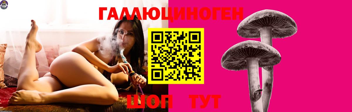 Псилоцибиновые грибы прущие грибы Назрань